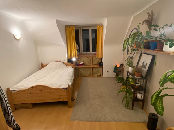 <b>The space</b><br />Ill provide fresh bedsheets, but no towels or soap. The ho Vienna, Austria Beautiful home close to Schloss Schönbrunn Entire condo vacation rental 26971322