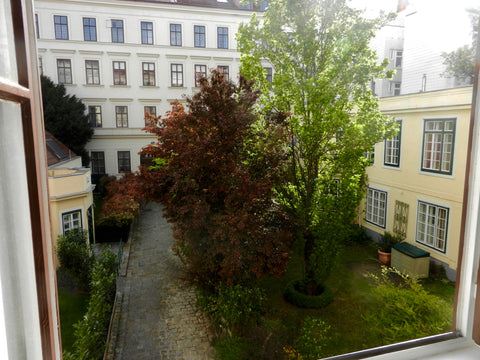 We chose the apartment for its quiet beauty: Birds chirping and blooming flowers Vienna, Austria Green Garden in mid-Vienna Private room in rental unit vacation rental 12426426