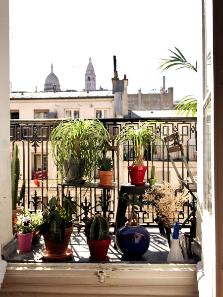 Appartement parisien 2 pièces, situé sur la rive droite centre dans le quartier  Paris, France Appartement parisien - balcon vue sur Sacré Cœur Entire rental unit vacation rental 21988516