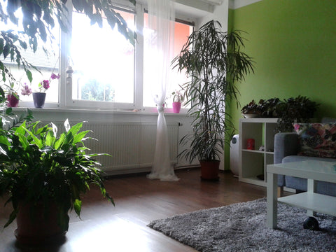A romantic ground floor flat in a family house (see all photos)  with a small ga Prague, Czechia FRIENDLY and ROMANTIC house :) Entire home vacation rental 15754216