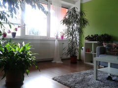 A romantic ground floor flat in a family house (see all photos)  with a small ga Prague, Czechia FRIENDLY and ROMANTIC house :) Entire home vacation rental 15754216