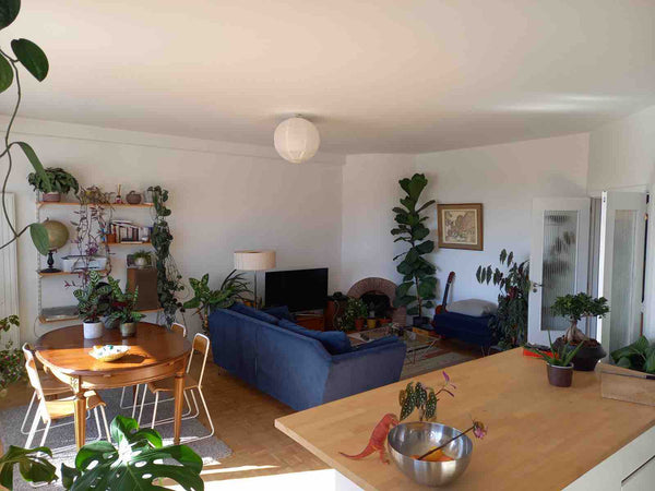 Appartement à louer situé à Uccle à la limite de forest et de saint Gilles.<br / Uccle, Belgium Appartment furnished sunny in Uccle Entire rental unit vacation rental 570652920332474436