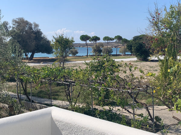 Our beach family apartment accommodates 4-5 guests. <br />Offering a private ent Krotiri, Greece *BEACH APARTMENT FOR 2-5* Entire rental unit vacation rental 17716145