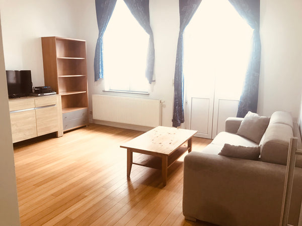 Welcome to Brussels! Whether you are visiting the city on holidays or on busines Brussels, Belgium TOUR & TAXIS 1 + FREE PARKING Entire rental unit vacation rental 429409
