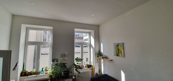 Hi! I'm charlot, I live in my very nice flat with my very nice plant babies righ Vienna, Austria Nice&bright 1bedroom apt @ NeubaugasseU3 , 1060 Entire rental unit vacation rental 41922046