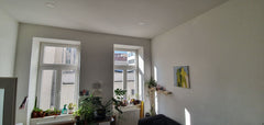 Hi! I'm charlot, I live in my very nice flat with my very nice plant babies righ Vienna, Austria Nice&bright 1bedroom apt @ NeubaugasseU3 , 1060 Entire rental unit vacation rental 41922046