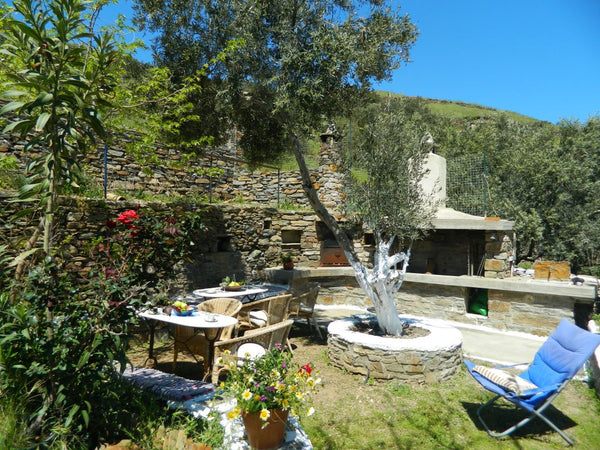 Surrounded by almond, pine and olive trees, in walking distance from the port, t Athens, Greece The Almond Tree house. Entire villa vacation rental 6518614