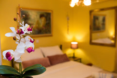 The apartment is situated in the most old and elegant area of the city!it is ren GR Quiet one bedroom suite in the city center Entire rental unit vacation rental 40753850