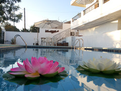 Enjoy a wonderful swim in the pool, a cool breakfast, the romantic sunset on the  VILLA ANNA Entire villa vacation rental 13002395