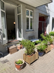 The apartment is located on the ground floor and includes two rooms - a living r Copenhagen, Denmark Cosy apartment in the heart of Copenhagen Entire rental unit vacation rental 51140334