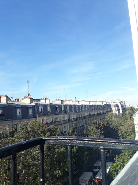 Appartement de charme refait à neuf, très ensoleillé, vue sur le Sacré Cœur.<br  Le Vésinet, France Charmant appartement avec vue Entire rental unit vacation rental 28396421