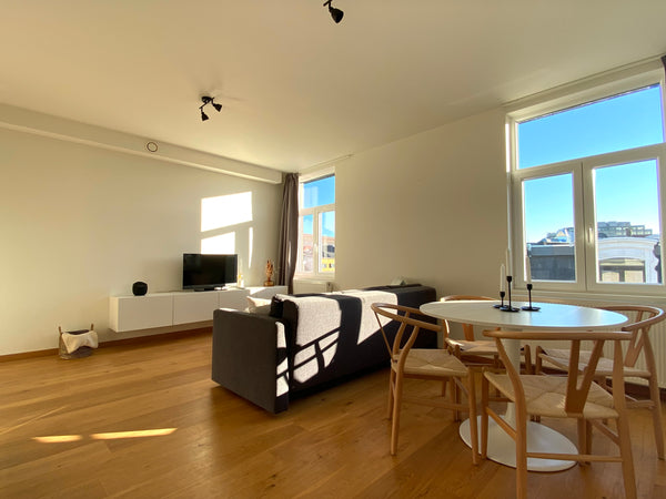 Welcome to this bright and trendy penthouse in the city centre of Antwerp. <br / Antwerp, Belgium Penthouse with private sauna and terrace Entire rental unit vacation rental 52867504