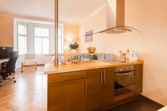 Fun and cool 1920's apartment in the Zizkov / Vinohrady location of Prague. Spac Los Angeles, CA Cool apartment in Prague Entire rental unit vacation rental 5196746