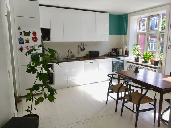 Live in the buzzing area of Nørrebro, just a step from the well known Assistent  Copenhagen, Denmark Large and atmospheric apartment in The heart of NB Entire rental unit vacation rental 27629141