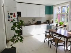 Live in the buzzing area of Nørrebro, just a step from the well known Assistent  Copenhagen, Denmark Large and atmospheric apartment in The heart of NB Entire rental unit vacation rental 27629141