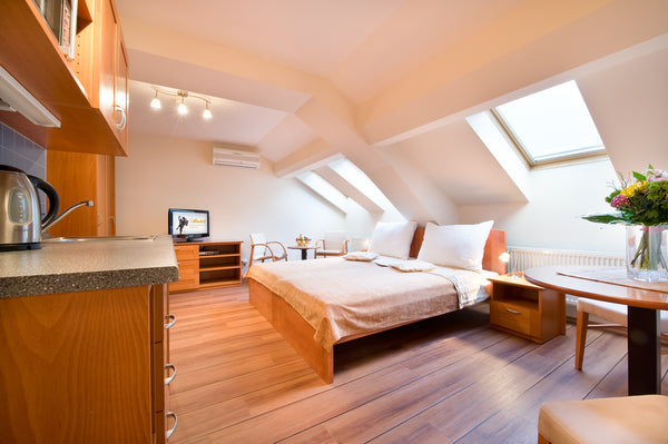 Plně vybavené studio standard pro 1-2 osoby se vstupem z druhého patra pavlačové  Attic Studio standard Apartmány 114 - Nádražní Entire serviced apartment vacation rental 44721635