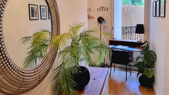 Rádi se podělíme o náš byt ve kterém občas bydlíme. Místo je kouzelné v tom že j Prague, Czechia Premium Garden Apartment near city center Entire rental unit vacation rental 630886945450504887