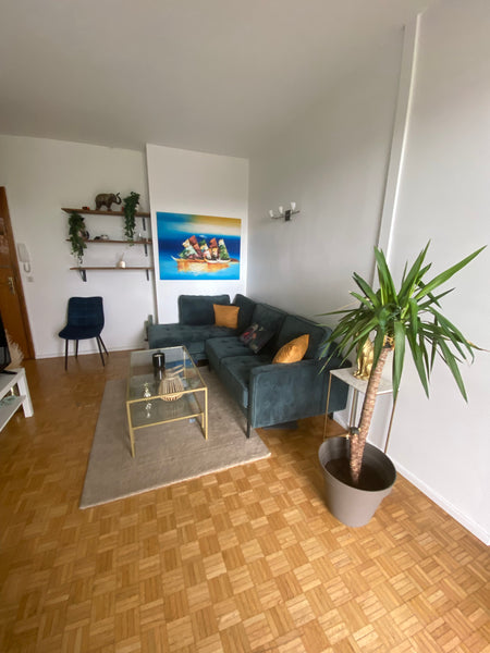 Simplifiez-vous la vie dans ce logement paisible et central. Idéalement situé en Fontaines-sur-Saône, France Superbe appartement avec vue sur Saône Entire rental unit vacation rental 668859483065019041