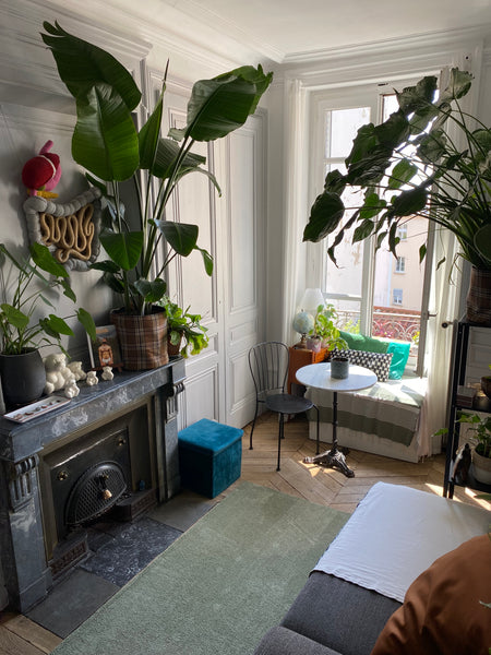 Cozy and calm Alcove homestay in the pretty Cartier of Croix Rousse - 15 min wal Lyon, France Cozy and calm Alcove homestay Private room in casa particular vacation rental 636041698999004969