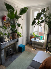 Cozy and calm Alcove homestay in the pretty Cartier of Croix Rousse - 15 min wal Lyon, France Cozy and calm Alcove homestay Private room in casa particular vacation rental 636041698999004969