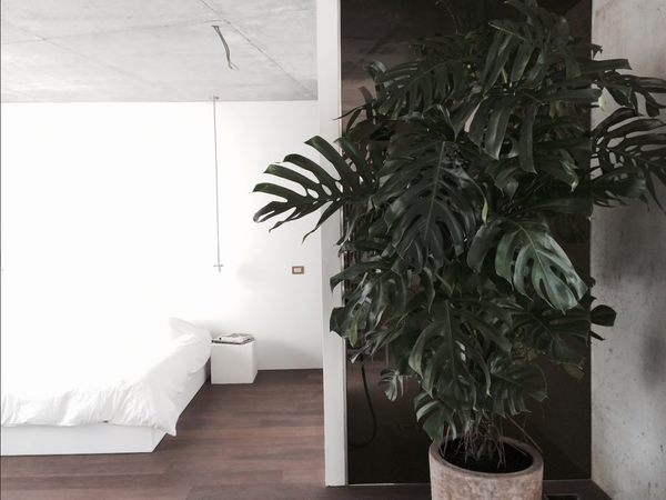 in a beautiful architectural building, 2 spacious rooms, each with private Itali Brussels, Belgium 2 rooms with gardens in trendy area _ R2/R3 Private room in serviced apartment vacation rental 15961946
