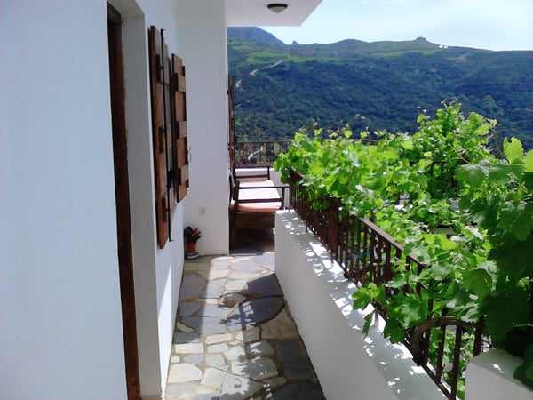 Our place comprises two apartments .The first one consists of a double bed,a ful  Apartments overlooking the sea and the olive grove Entire home vacation rental 14323432
