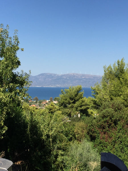 Irémia is een  gezellige vrijstaande woning met grote tuin  in de groenrijke omg Agia Galini, Greece Iremia vrijstaande woning aan zee met tuin Entire home vacation rental 45328947