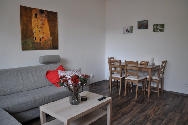 Our spacious, newly reconstructed flat is located in one of the best districts o Prague, Czechia Apartment in Praha 3 Entire rental unit vacation rental 3030736
