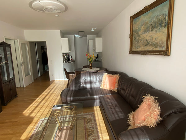 In den kommenden Monaten werde ich als Unternehmensberaterin viel unterwegs sein  In derNähe vom Schloss Schönbrunn und Stadtzentrum Entire condo vacation rental 566327758438998861