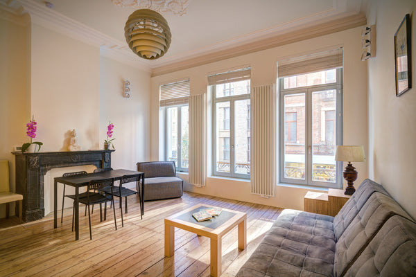 Right in the historic heart of Antwerp, we host a fully equipped, ultra renovate Antwerp, Belgium Bright Stone Lodge Apartment Central Antwerp S1 Entire rental unit vacation rental 41147763
