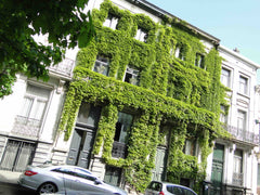 Reservation for more than 1 year POSSIBLE 8 LargeTerrasse&Apartment 1XBed Yes Ie Brussels, Belgium 2°CenterBRU°Terrace°Furbished FlatYearStay++ Entire condo vacation rental 17094331