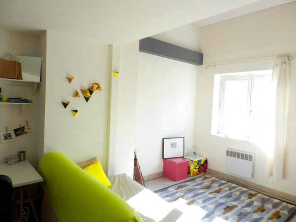 T1 avec une grande chambre mezzanine. 1 vrai lit + 1 canapé convertible (2 à 4 c  38m2 charme canut au coeur de Lyon Entire rental unit vacation rental 9177994
