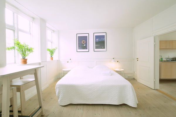 One room flat. With king size or two single beds, kitchen  with toaster, fridge, Copenhagen, Denmark Central Canal Apartment 6 Entire serviced apartment vacation rental 31143428