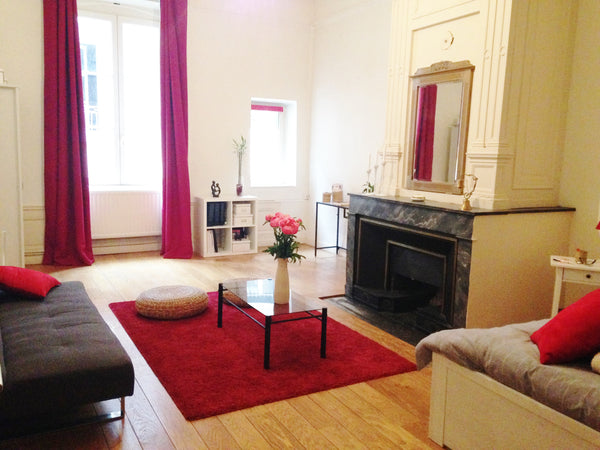 A deux pas de la place des Terreaux, notre appartement au 3ème étage sans ascens Lyon, France Chambre de 30 m2 à Hotel de Ville Private room in rental unit vacation rental 8949050