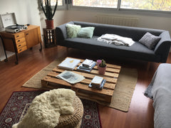 Appartement cosy et lumineux, décoré avec goût, de 56m2, idéalement situé entre  Lyon, France Cosy et lumineux 56m2 proche Part Dieu et Centre Entire rental unit vacation rental 40007156