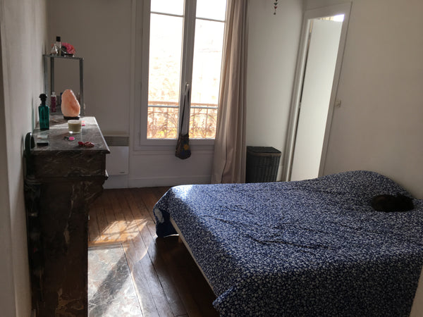 Bonjour, bonjour !<br /><br />Jolie chambre lumineuse avec cheminée dans une sup Paris, France Chambre en coloc Private room in rental unit vacation rental 21404080