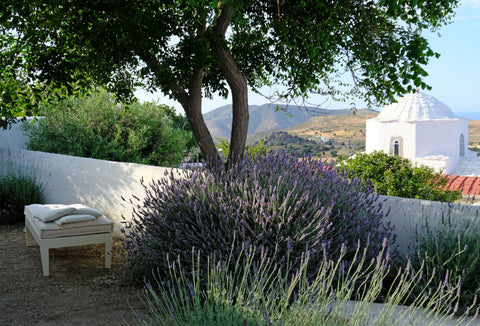 Cette ancienne maison, rénovée patiemment, se situe sur le flanc sud du village  Lausanne, Switzerland Maison avec jardin au coeur de Chora Cycladic home vacation rental 639733471570340879