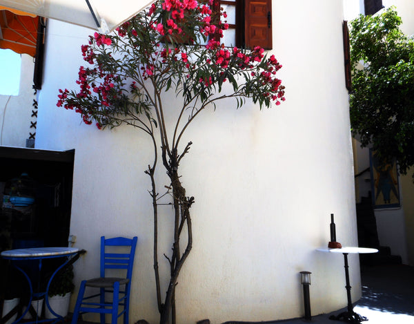 Argonaftes offers traditional Cycladic-style units, some facing east.<br /><br / Greece Argonaftes Double Room (Without Balcony) Private room in bed and breakfast vacation rental 30219562