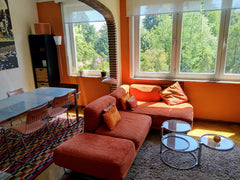   Charming 1BR apartment near Basilique Entire rental unit vacation rental 26941722