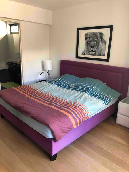 Chambre spacieuse avec salle de bain et toilettes privatives, dans un grand appa Brussels, Belgium Bruxelles/Ixelles: Suite dans superbe appartement Private room in rental unit vacation rental 53470537