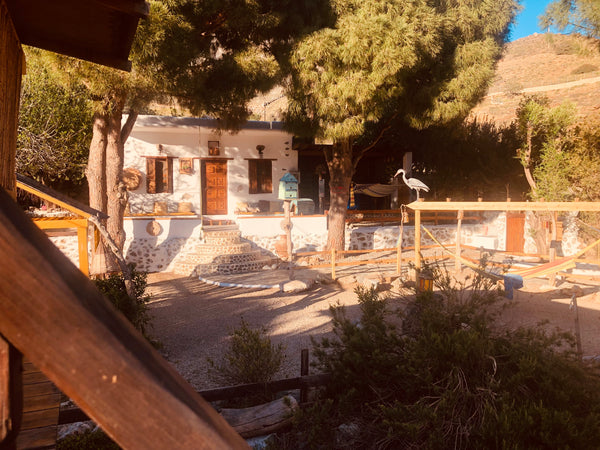 This traditional house is on the beach. It's a house in trees and nature  home g Greece Best place to be on the beach!!! Entire cottage vacation rental 14668977