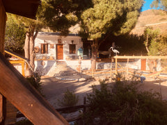 This traditional house is on the beach. It's a house in trees and nature  home g Greece Best place to be on the beach!!! Entire cottage vacation rental 14668977