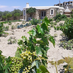 A picturesque, independed, quiet, stone made  house that is surrounded by a vege  Our little cottage Cycladic home vacation rental 42107378