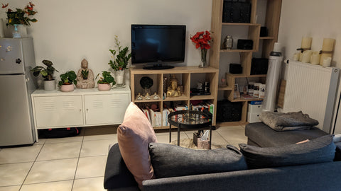 Bienvenue dans un T1 bis de 30m2 calme et cocooning.<br /><br />Coin cuisine, fo  Lyon Monplaisir lumières, T1 bis 30m2 Entire rental unit vacation rental 760153576048637522