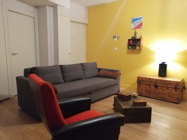 Joli studio de 35 m², au centre de Lyon a deux pas des festivités ( Croix rousse Fresnes-sur-Escaut, France Studio Lumières Entire rental unit vacation rental 39687624