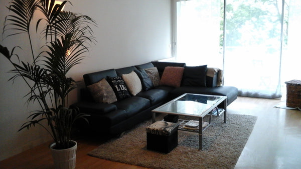 Situation géographique privilégiée: Appartement dans résidence calme, situé proc Cenon, France Appartement à proximité de Bordeaux Entire condo vacation rental 36220429