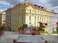 Quiet residential neighbourhood in Vinohrady, near beautiful park, and just a fi Prague, Czechia SUNNY APARTMENT IN VINOHRADY Entire rental unit vacation rental 5081764