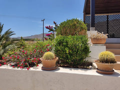 Take a break and unwind at this peaceful oasis. A beautiful cottage 250m from th  Cottage with 1 bedroom in the most wonderful place Entire cottage vacation rental 657203483459539767