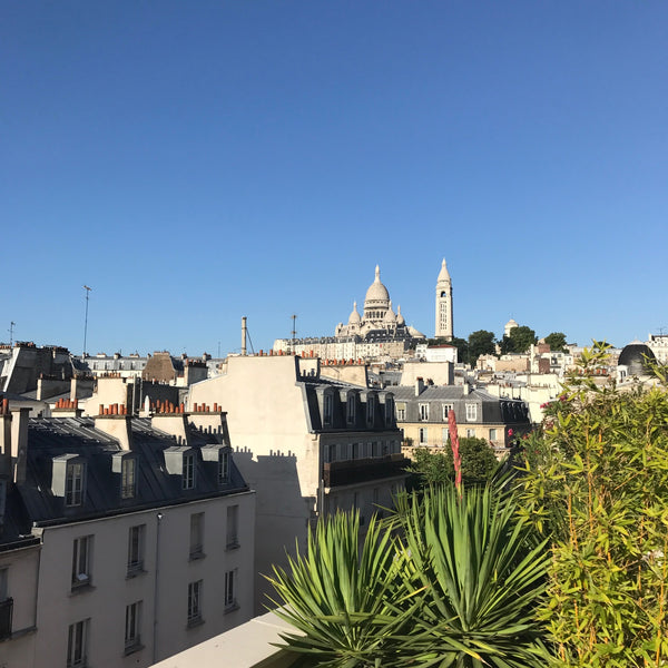 WELCOME,<br />L'appartement se situe, dans un quartier populaire du Sacré Coeur  Paris, France Terrasse Montmartre avec vue ! Entire rental unit vacation rental 19544706