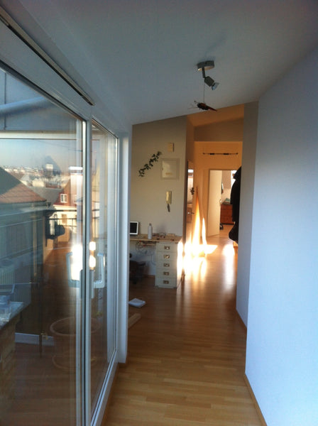 My apartment is on the top floor, many (rooftop) windows and high ceilings give  Vienna, Austria spacious, sunny room in central Vienna Private room in rental unit vacation rental 21426226